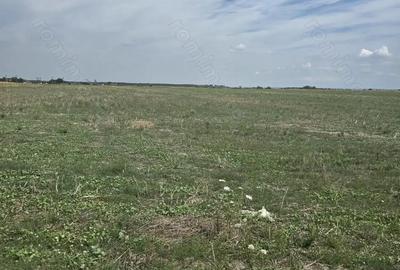 Mosnita Veche - 11 parcele - 10800 mp- CF individuale - 3