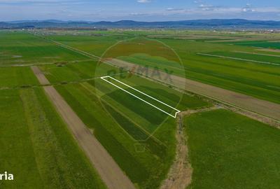 Spațiu comercial, în Lunca Mărcușului - 8