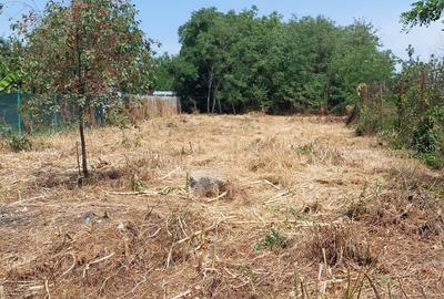 Teren în Chitila - 5