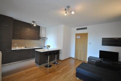 Garsoniera de inchiriat in Asmita Gardens - Tineretului - 4