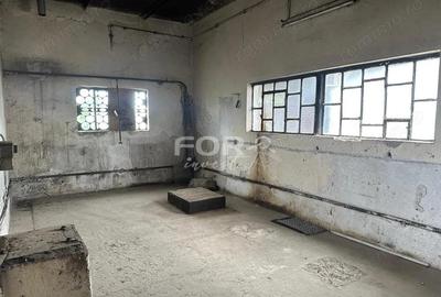 Teren 2100mp si hale de inchiriat zona Iosia - 10