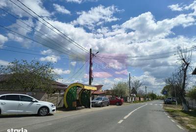Teren de 975 mp, în Cernica - 16