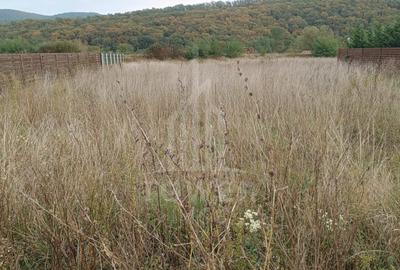 Teren de vânzare în Tălmaciu – zonă liniștită, cu priveliște spre munți - 5