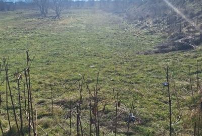 Oportunitate investitie | Teren 2400 mp – Darmanesti, acces la drum - 1