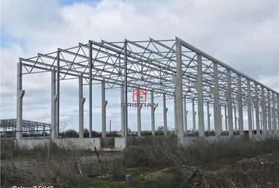 Depozit/hala/spatiu industrial Mogosoaia - Buftea - 6