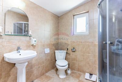 Casa+Laborator+ Teren 12.700 mp + casa de vacanta - Bolin... - 29