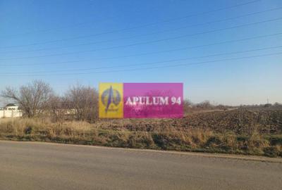 Teren de 8800 mp, în Săbăreni - 2