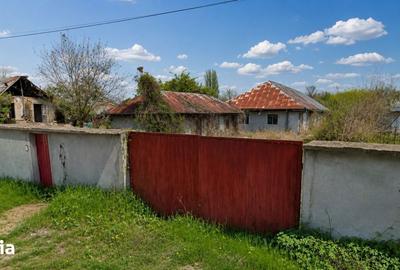 Casă cu 9 camere cu Teren 1930 Mp în Dridu - 5
