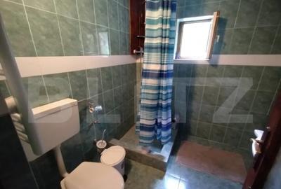 Casă cu 3 camere cu Teren 25000 Mp în Năsăud - 9