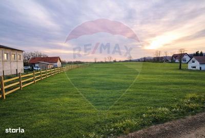 Teren de 4000 mp, în Vințu de Jos - 3