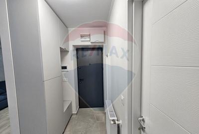 Apartament 2 camere de inchiriat Hils Pallady - 6