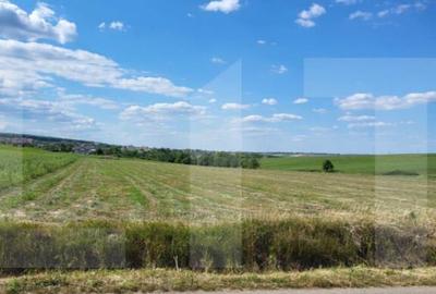 Teren Intravilan Manastirea Doamnei - 1