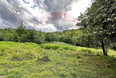 Teren Breaza 5,052 mp Podu Vadului, str. 23 August - 4