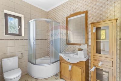 Proprietate cu potențial uriaș – Timișul de Sus – Brașov - 30