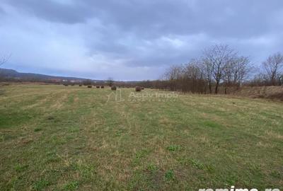 Caransebes, Teren Drept 5087 Mp. Ideal pt Casa 20 Euro Mp. Racovita - 3