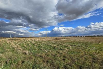 Satu Mare, Oportunitate pentru dezvoltatori, Teren generos parcelat - 7