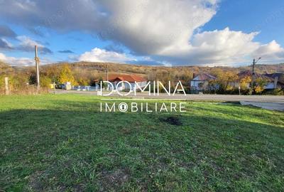 Teren de 11939 mp, în Bălănești - 2