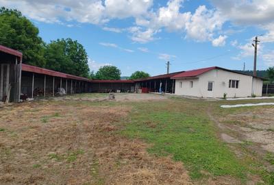 Casă individuală cu 4 camere cu Teren 4800 Mp în Crețești - 3