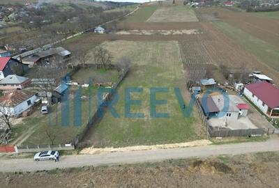 Teren de 4000 mp, în Bazga - 2