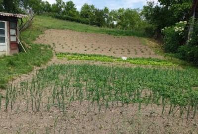 Casă individuală cu 3 camere cu Canalizare în Velț - 17