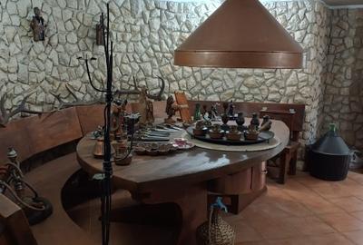 Casă individuală cu 5 camere cu Teren 8850 Mp în Central - 15