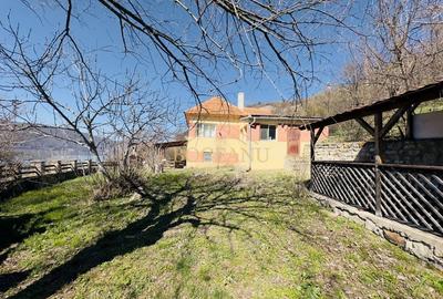 BG84-Casa 4 cam-Teren 830 mp-Dunare - 2