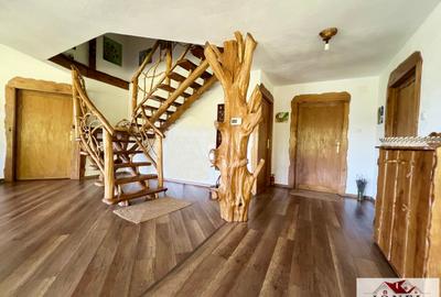 Casă individuală cu 5 camere cu Teren 8633 Mp în Aiud - 7