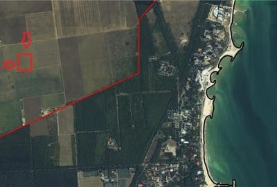 TEREN EXTRAVILAN,PADUREA COMOROVA,NEPTUN - 3