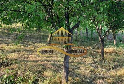 Teren EXTRAVILAN de vanzare BOSOTENI / TESCANI 7100 mp - 3