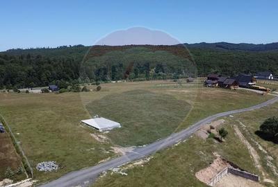 Teren 3,757mp Paltinoasa / Strada principala - 10