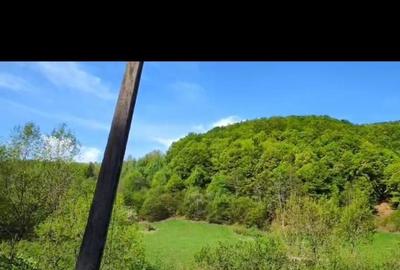 Spațiu comercial, în Central - 5