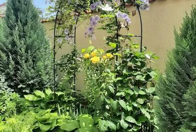 Casă cu Teren 300 Mp în Chiajna - 3