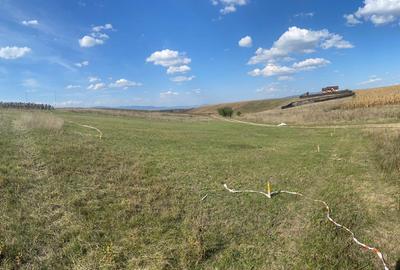 TEREN INTRAVILAN  BOD - 1200 mp pentru constructii case Sp+P+E+M - 11