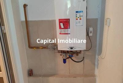 Vila superba 7 camere, Provita de Jos, 22.000 mp teren - 5