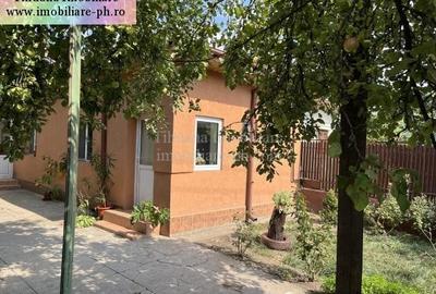 Tihuana Imobiliare:casa de vanzare-Buna Vestire - 2