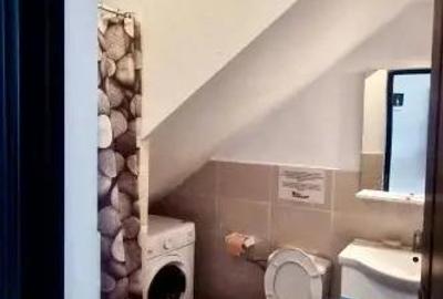 Inchiriere garsoniera cocheta, zona Blumana - 8