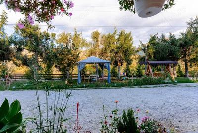 Vanzare pensiune renovata 2025 6 camere, Corb?ori (Poenari) - 6