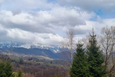 Vând 1000 mp în̈ Moieciu, cu imens potențial investițional Vând 1000 mp în̈ Moieciu, cu imens potențial investițional - 6