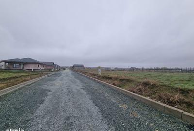 Teren de 500 mp, în Poarta Albă - 1