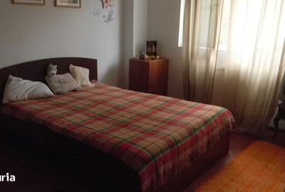 Apartament cu 2 camere, mobilat în 1 Decembrie 1918 - 7