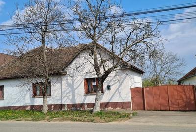 CASA CU TEREN  DE 3.000 MP IN LOCALITATEA GIARMATA LA 195.000 EURO - 1