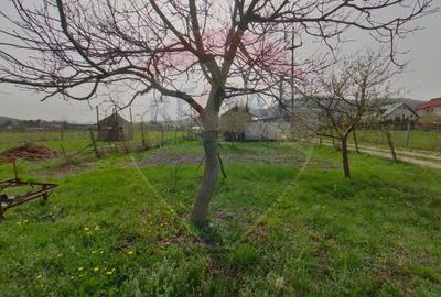 Casă cu 5 camere cu Teren 938 Mp în Sud - 8