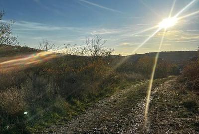 Spațiu comercial, în Central