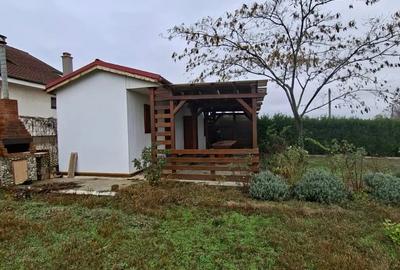 Mica proprietate cocheta cu teren generos ?i utilita?i complete - 3