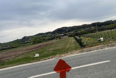 Teren de 6500 mp, în Măldărești - 5
