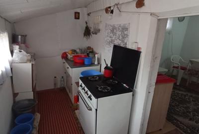 Vanzare casa 3 cam,baie,bucatarie, teren 2500mp in Bujoreni Alexandria Teleorman - 16
