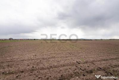 Teren de 5663 mp, în Oșorhei - 7