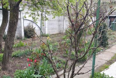 Casă cu 2 camere cu Teren 444 Mp în Central - 2