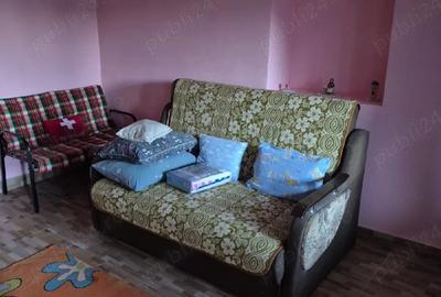 Casă cu 3 camere cu Teren 2500 Mp în Mintia - 3