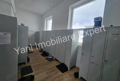 Proprietate cu multiple hale, de vanzare in comuna Baicule?ti, jude? Arge?. - 2